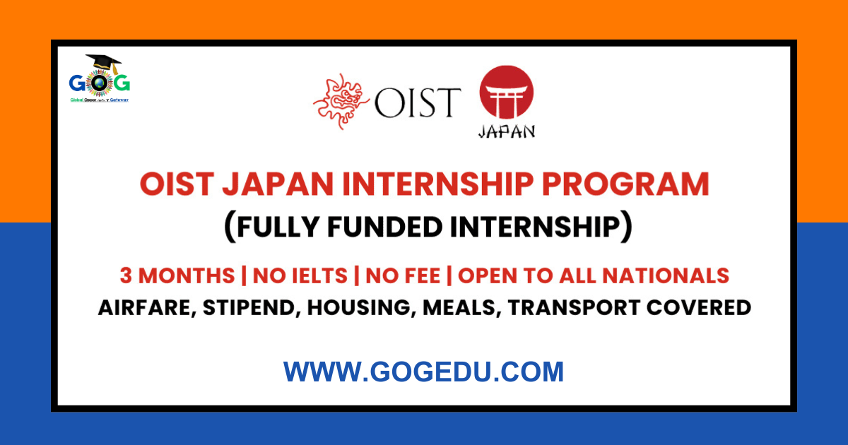 OIST Research Internship 2026